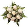 Flowers White Plants - Plantas - 