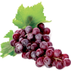 grape - Obst - 