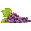 grape - Obst - 