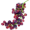 grape - Frutas - 