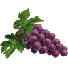 grapes - Food - 