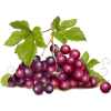 grapes - Food - 