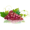 grapes - Atykuły spożywcze - 