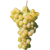 grapes - Food - 