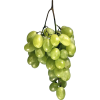 grapes - Food - 
