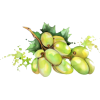 grapes - Food - 