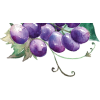 grapes - フルーツ - 