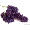 grapes - 水果 - 