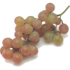 grapes - フルーツ - 