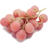 grapes - Obst - 