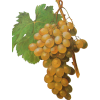 grapes - Fruit - 