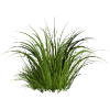 grass 1 - Pflanzen - 