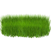grass 2 - Rastline - 