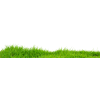 grass 3 - Pflanzen - 