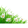 grass - イラスト - 