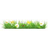 grass - Plantas - 