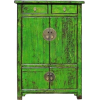 green cupboard - Möbel - 