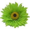 green flowers 2 - Rastline - 