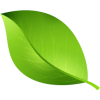 green leaf 2 - Pflanzen - 