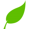 green leaf 3 - Plants - 