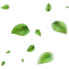 green Leaves - Rastline - 