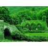 green houses - 建物 - 