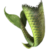 green mermaid tail - Illustraciones - 