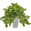 green potted plants - Rastline - 