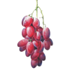 grožđe - Obst - 