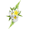 hawaii flowers - Equipment - 