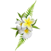 hawaii flowers - Equipaje - 