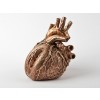 heart of gold - 饰品 - 
