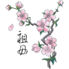 Cherry blossom - Иллюстрации - 