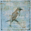 ptica - Background - 