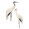 heron - 動物 - 