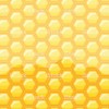 honey background - Pozadine - 