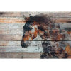 horse - Animais - 