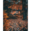 house autumn leaves photo - Uncategorized - 