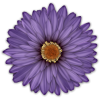 Scrapbook Flower Daisy Mum Sticker - Rośliny - 