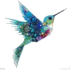 hummingbird - 动物 - 