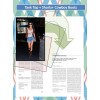 image - Sfondo - 