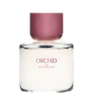 image - Articoli - 