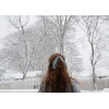 Inverno - My photos - 