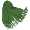 Fringed Solid Wool And Cashmere Pashmina Shawl - Scarf - $88.00 