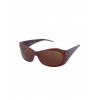 Iole - Zebra Sunglasses - 墨镜 - $323.00  ~ ¥2,164.21