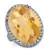 The Ambrosial Ring Citrine Ring - Rings - $2,519.99 
