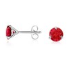Round Ruby Martini Earrings Studs in White Gold 14K - Brincos - $1,039.99  ~ 893.23€