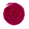CHAN LUU Cashmere and Silk Scarf in Sangria - Scarf - $195.00  ~ £148.20