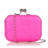 Lucilla Pink Neon box clutch - Hand bag - £18.00 