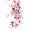 item - Items - 